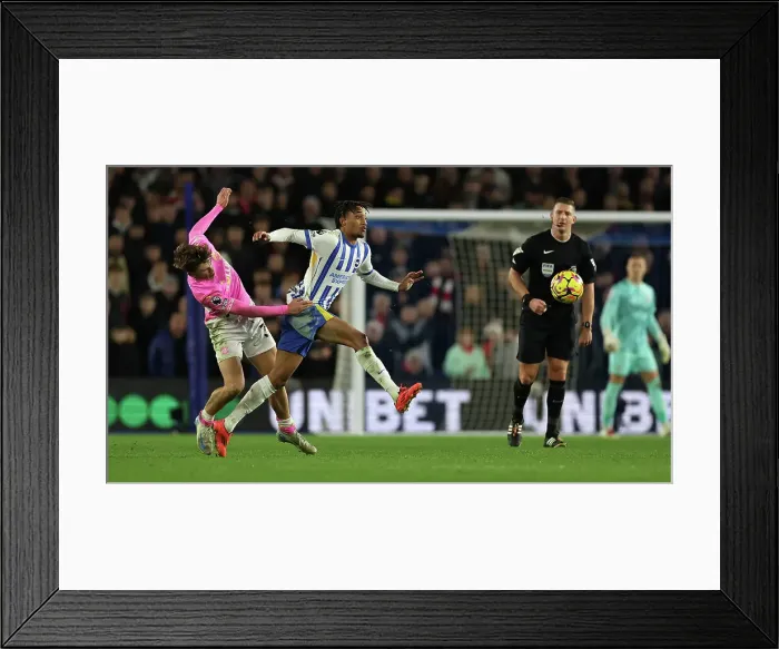 Framed Print : Brighton and Hove Albion v Southampton Premier League 29NOV24