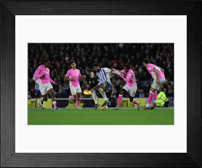 Framed Print : Brighton and Hove Albion v Southampton Premier League 29NOV24 Framed Print : Brighton and Hove Albion v Southampton Premier League 29NOV24