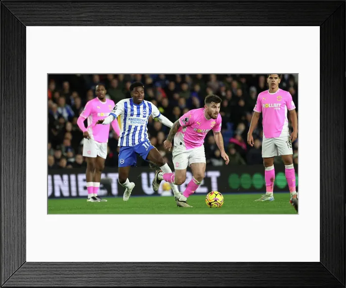 Framed Print : Brighton and Hove Albion v Southampton Premier League 29NOV24 Framed Print : Brighton and Hove Albion v Southampton Premier League 29NOV24