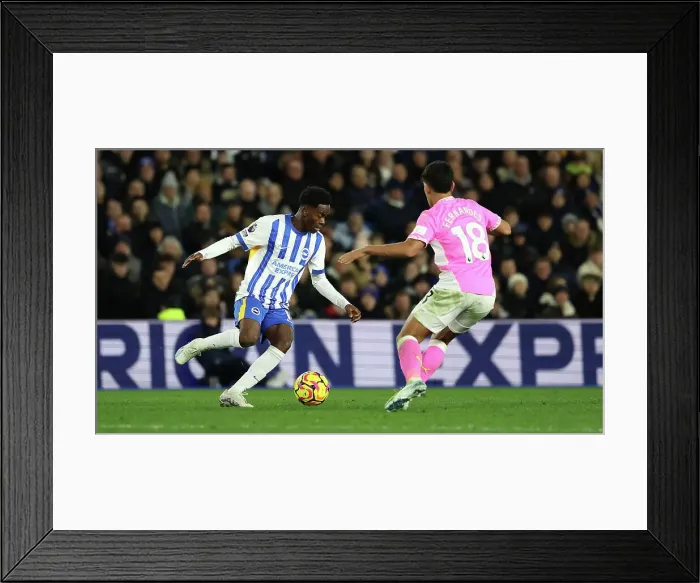 Framed Print : Brighton and Hove Albion v Southampton Premier League 29NOV24 Framed Print : Brighton and Hove Albion v Southampton Premier League 29NOV24