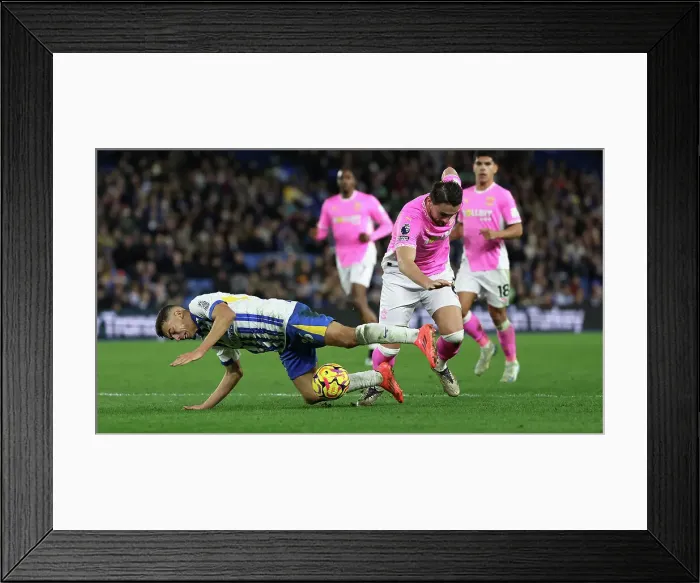 Framed Print : Brighton and Hove Albion v Southampton Premier League 29NOV24
