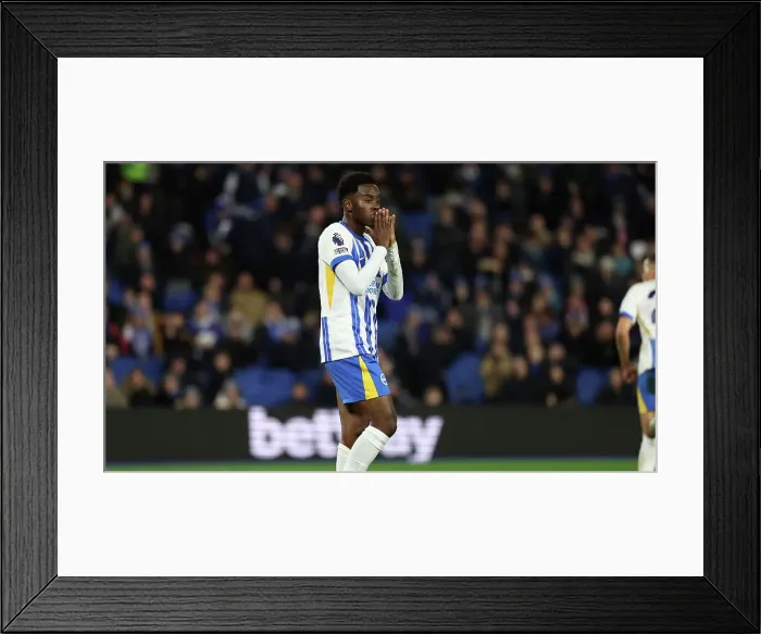 Framed Print : Brighton and Hove Albion v Southampton Premier League 29NOV24