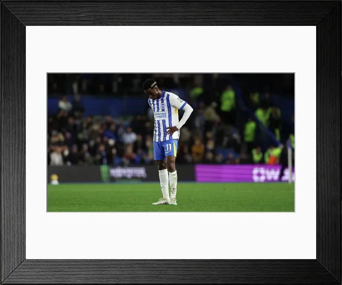Framed Print : Brighton and Hove Albion v Southampton Premier League 29NOV24