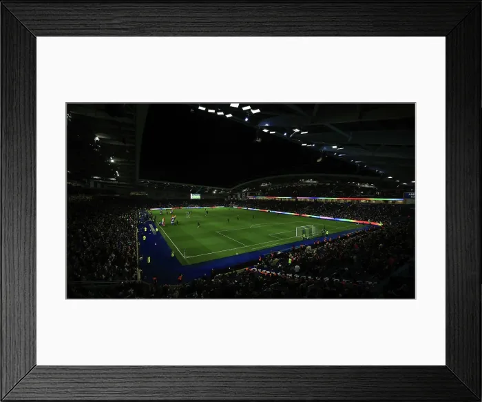 Framed Print : Brighton and Hove Albion v Southampton Premier League 29NOV24