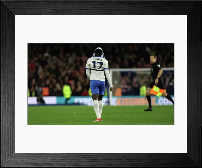 Framed Print : Brighton and Hove Albion v Southampton Premier League 29NOV24 Framed Print : Brighton and Hove Albion v Southampton Premier League 29NOV24