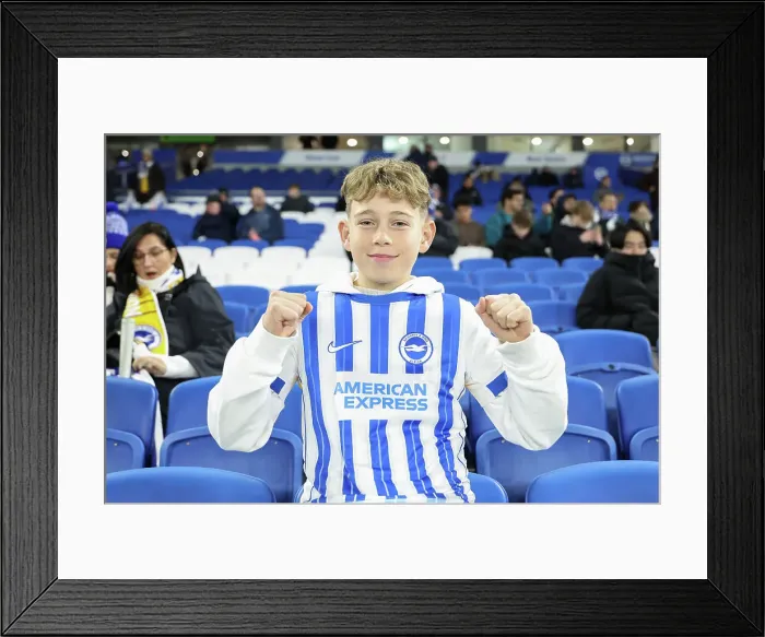 Framed Print : Brighton and Hove Albion v Southampton Premier League 29NOV24 Framed Print : Brighton and Hove Albion v Southampton Premier League 29NOV24