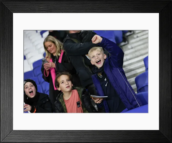 Framed Print : Brighton and Hove Albion v Southampton Premier League 29NOV24 Framed Print : Brighton and Hove Albion v Southampton Premier League 29NOV24