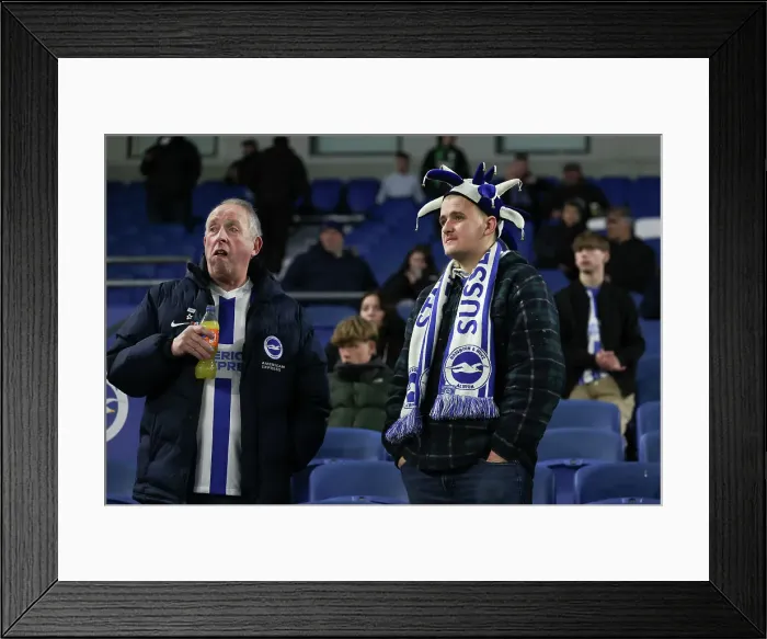 Framed Print : Brighton and Hove Albion v Southampton Premier League 29NOV24