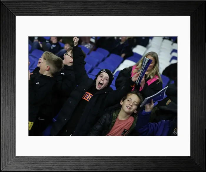 Framed Print : Brighton and Hove Albion v Southampton Premier League 29NOV24 Framed Print : Brighton and Hove Albion v Southampton Premier League 29NOV24