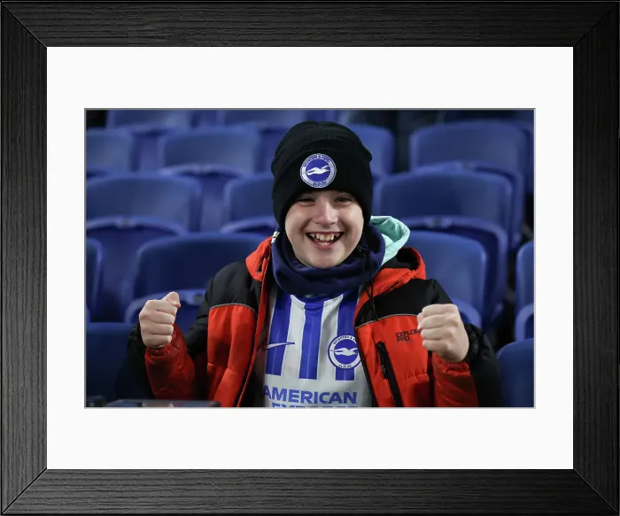 Framed Print : Brighton and Hove Albion v Southampton Premier League 29NOV24 Framed Print : Brighton and Hove Albion v Southampton Premier League 29NOV24
