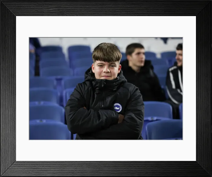 Framed Print : Brighton and Hove Albion v Southampton Premier League 29NOV24 Framed Print : Brighton and Hove Albion v Southampton Premier League 29NOV24
