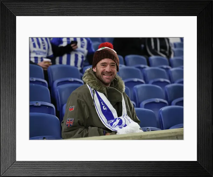 Framed Print : Brighton and Hove Albion v Southampton Premier League 29NOV24 Framed Print : Brighton and Hove Albion v Southampton Premier League 29NOV24