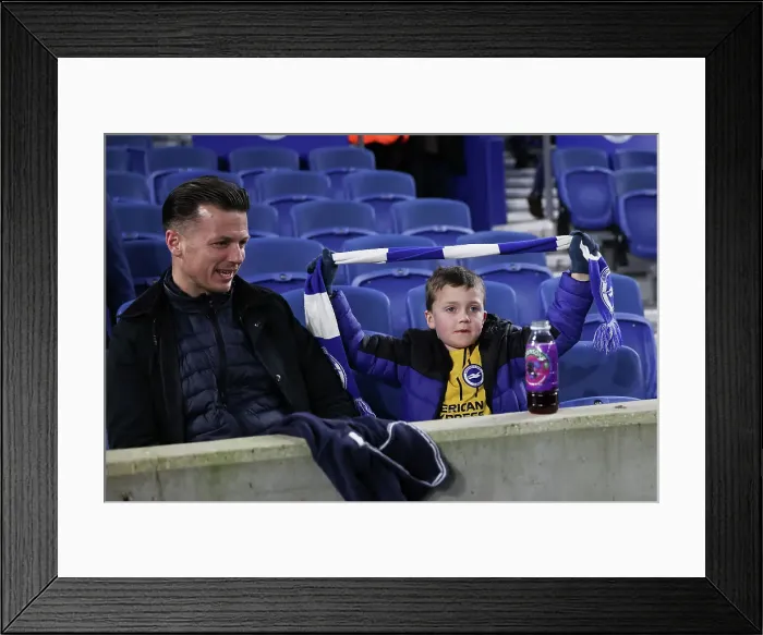 Framed Print : Brighton and Hove Albion v Southampton Premier League 29NOV24 Framed Print : Brighton and Hove Albion v Southampton Premier League 29NOV24