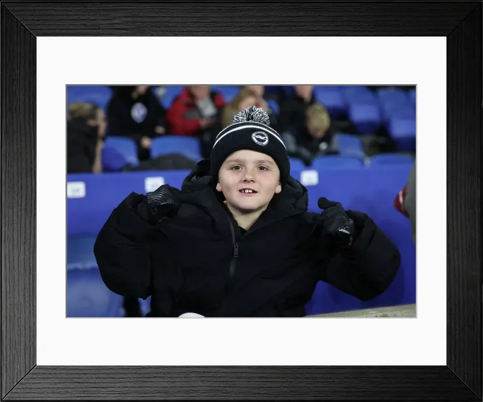Framed Print : Brighton and Hove Albion v Southampton Premier League 29NOV24 Framed Print : Brighton and Hove Albion v Southampton Premier League 29NOV24
