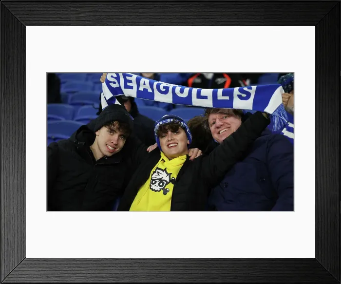 Framed Print : Brighton and Hove Albion v Southampton Premier League 29NOV24 Framed Print : Brighton and Hove Albion v Southampton Premier League 29NOV24
