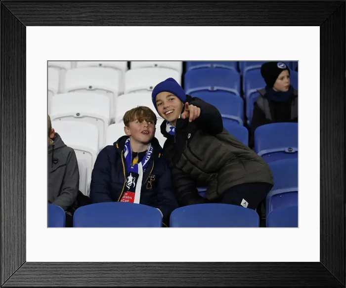Framed Print : Brighton and Hove Albion v Southampton Premier League 29NOV24 Framed Print : Brighton and Hove Albion v Southampton Premier League 29NOV24