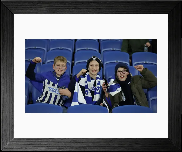 Framed Print : Brighton and Hove Albion v Southampton Premier League 29NOV24 Framed Print : Brighton and Hove Albion v Southampton Premier League 29NOV24