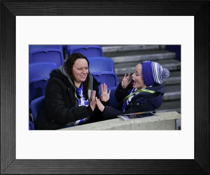 Framed Print : Brighton and Hove Albion v Southampton Premier League 29NOV24 Framed Print : Brighton and Hove Albion v Southampton Premier League 29NOV24