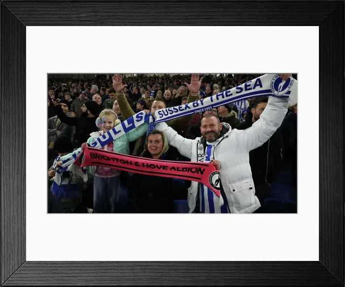 Framed Print : Brighton and Hove Albion v Southampton Premier League 29NOV24 Framed Print : Brighton and Hove Albion v Southampton Premier League 29NOV24