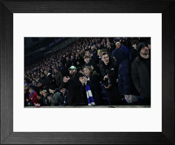 Framed Print : Brighton and Hove Albion v Southampton Premier League 29NOV24 Framed Print : Brighton and Hove Albion v Southampton Premier League 29NOV24