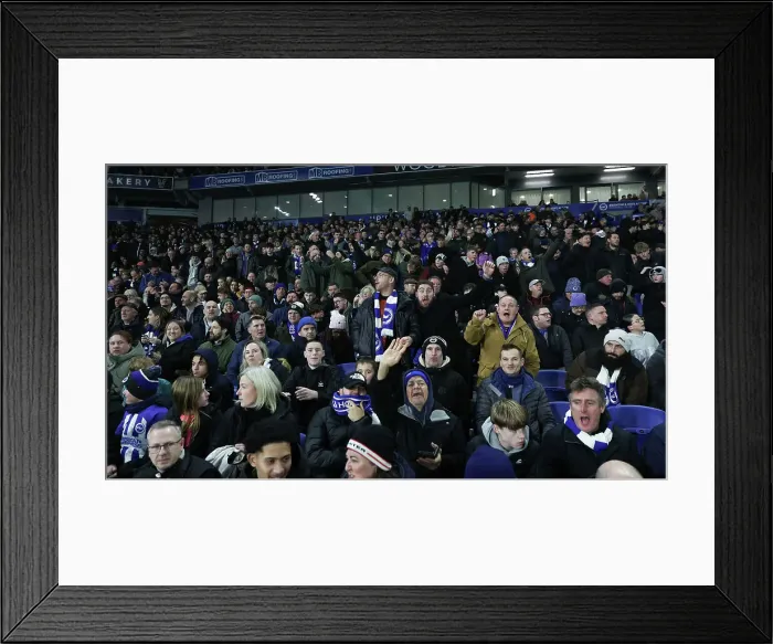 Framed Print : Brighton and Hove Albion v Southampton Premier League 29NOV24 Framed Print : Brighton and Hove Albion v Southampton Premier League 29NOV24