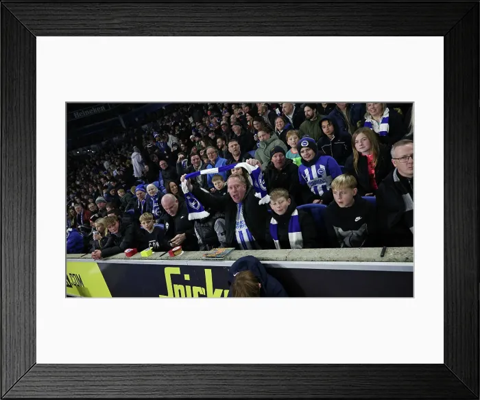 Framed Print : Brighton and Hove Albion v Southampton Premier League 29NOV24 Framed Print : Brighton and Hove Albion v Southampton Premier League 29NOV24