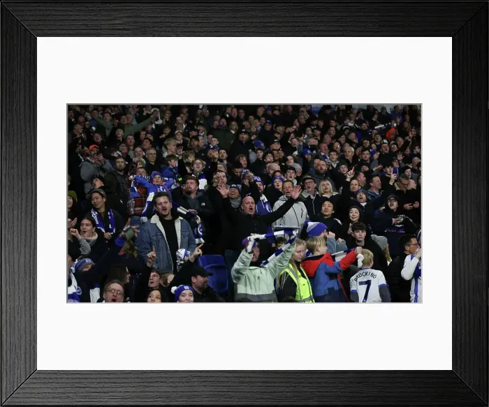 Framed Print : Brighton and Hove Albion v Southampton Premier League 29NOV24 Framed Print : Brighton and Hove Albion v Southampton Premier League 29NOV24
