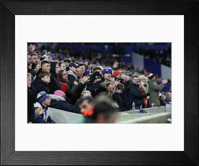 Framed Print : Brighton and Hove Albion v Southampton Premier League 29NOV24 Framed Print : Brighton and Hove Albion v Southampton Premier League 29NOV24
