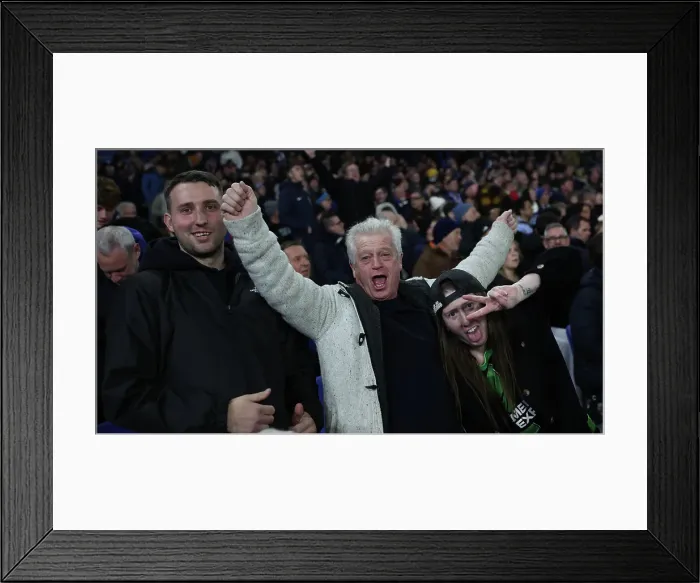 Framed Print : Brighton and Hove Albion v Southampton Premier League 29NOV24 Framed Print : Brighton and Hove Albion v Southampton Premier League 29NOV24