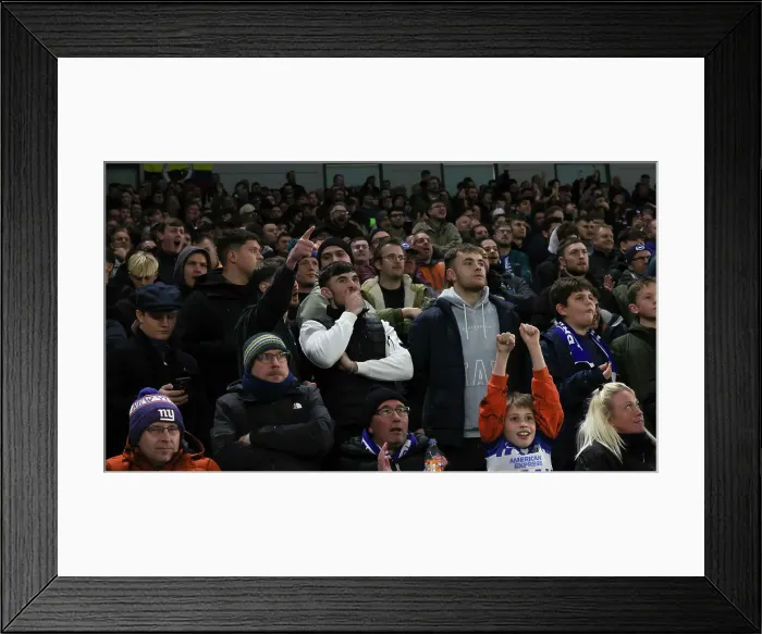 Framed Print : Brighton and Hove Albion v Southampton Premier League 29NOV24 Framed Print : Brighton and Hove Albion v Southampton Premier League 29NOV24