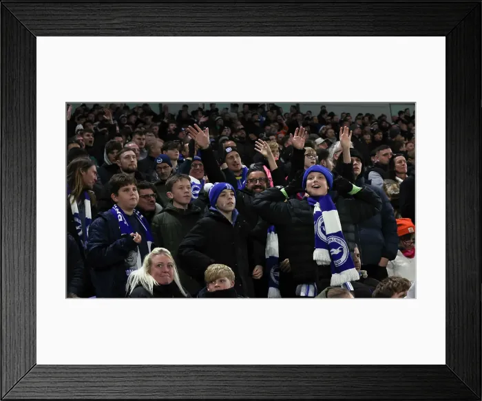 Framed Print : Brighton and Hove Albion v Southampton Premier League 29NOV24 Framed Print : Brighton and Hove Albion v Southampton Premier League 29NOV24