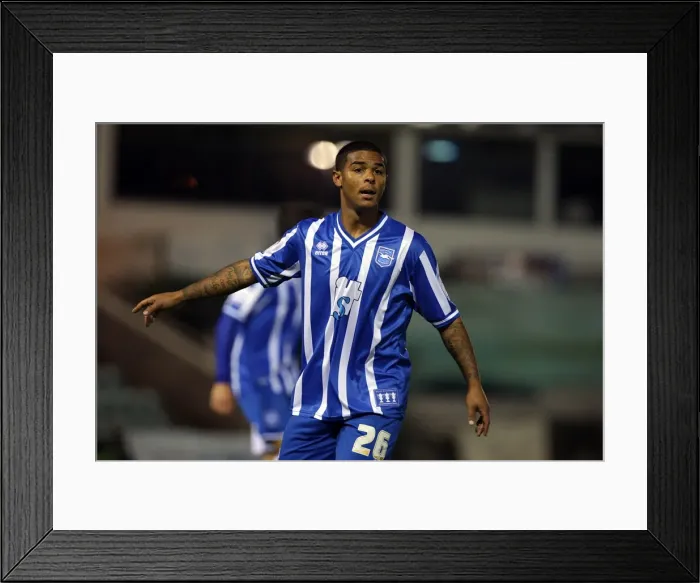Framed Print : Liam Bridcutt: Brighton and Hove Albion Midfielder in Action Framed Print : Liam Bridcutt: Brighton and Hove Albion Midfielder in Action