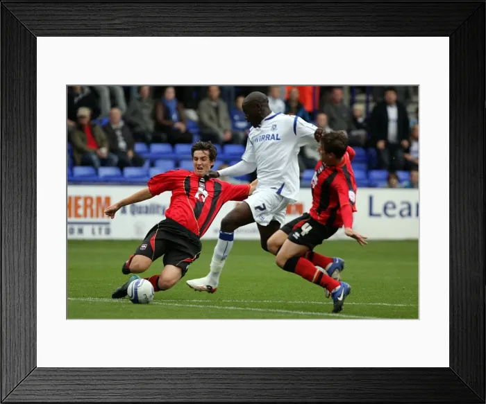 Framed Print : Brighton & Hove Albion Away at Tranmere Rovers: 2010-11 Season Framed Print : Brighton & Hove Albion Away at Tranmere Rovers: 2010-11 Season
