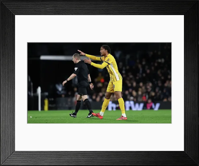 Framed Print : FUlham v Brighton and Hove Albion Premier League 05DEC24 Framed Print : FUlham v Brighton and Hove Albion Premier League 05DEC24