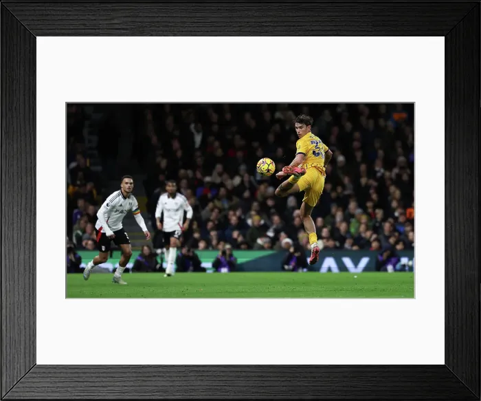Framed Print : FUlham v Brighton and Hove Albion Premier League 05DEC24 Framed Print : FUlham v Brighton and Hove Albion Premier League 05DEC24