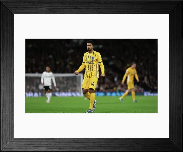 Framed Print : FUlham v Brighton and Hove Albion Premier League 05DEC24 Framed Print : FUlham v Brighton and Hove Albion Premier League 05DEC24