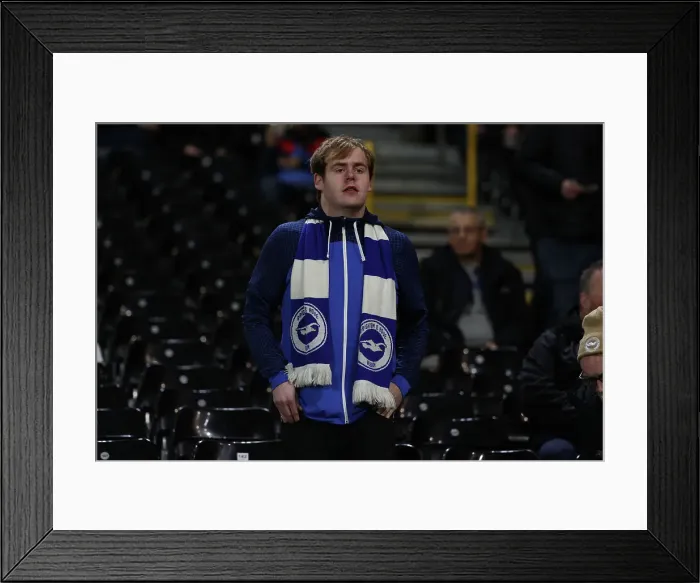 Framed Print : FUlham v Brighton and Hove Albion Premier League 05DEC24 Framed Print : FUlham v Brighton and Hove Albion Premier League 05DEC24