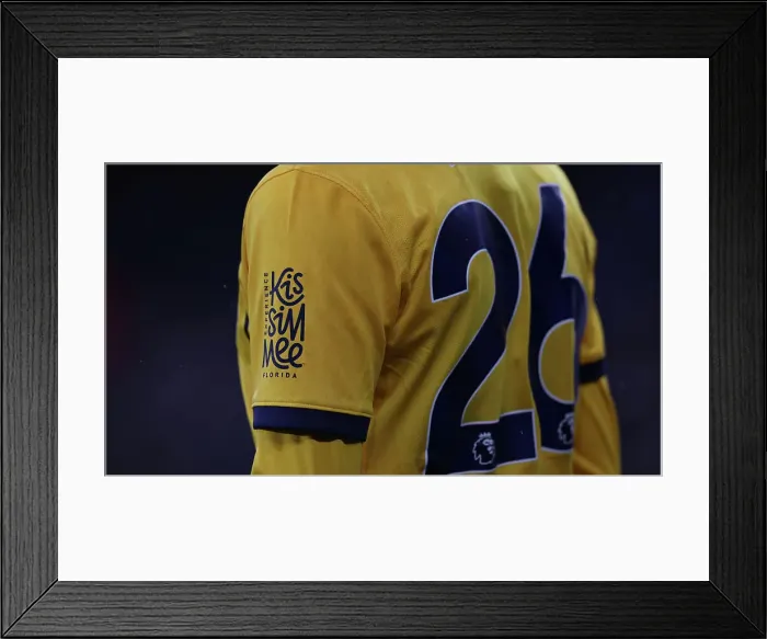 Framed Print : Leicester City v Brighton and Hove Albion Premier League 08DEC24