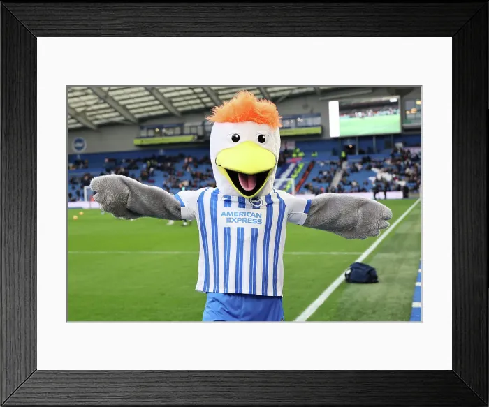 Framed Print : Brighton and Hove Albion v Crystal Palace Premier League 16DEC24 Framed Print : Brighton and Hove Albion v Crystal Palace Premier League 16DEC24