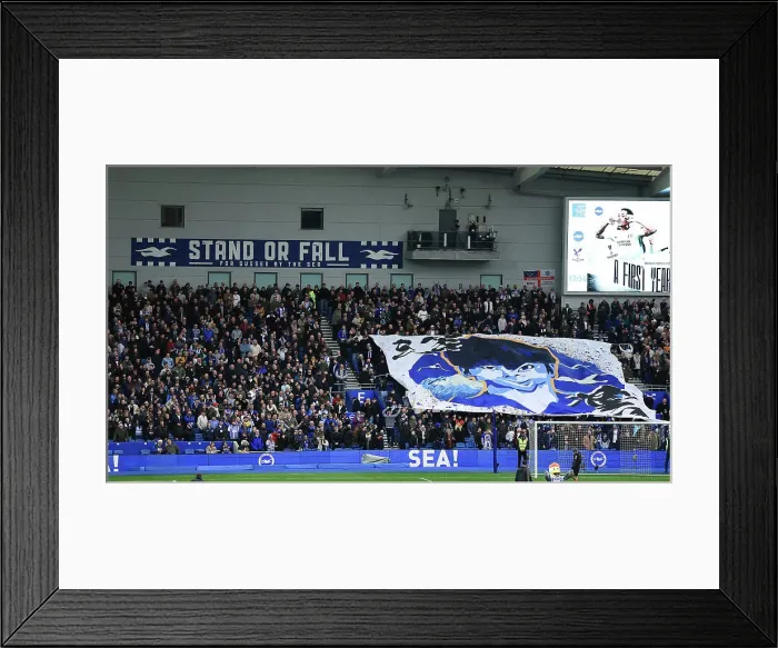 Framed Print : Brighton and Hove Albion v Crystal Palace Premier League 16DEC24 Framed Print : Brighton and Hove Albion v Crystal Palace Premier League 16DEC24