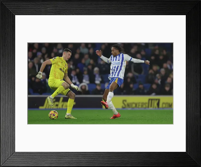 Framed Print : Brighton and Hove Albion v Brentford Premier League 27DEC24