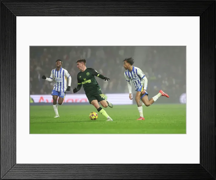 Framed Print : Brighton and Hove Albion v Brentford Premier League 27DEC24