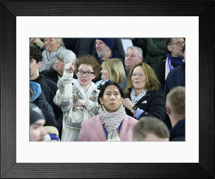 Framed Print : Brighton and Hove Albion v Brentford Premier League 27DEC24