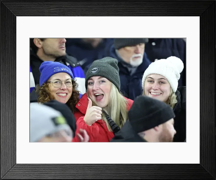 Framed Print : Brighton and Hove Albion v Brentford Premier League 27DEC24