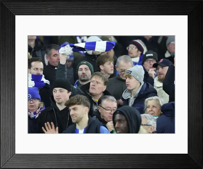 Framed Print : Brighton and Hove Albion v Brentford Premier League 27DEC24