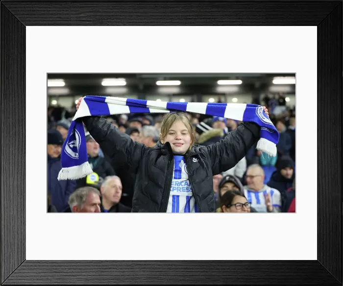 Framed Print : Brighton and Hove Albion v Brentford Premier League 27DEC24