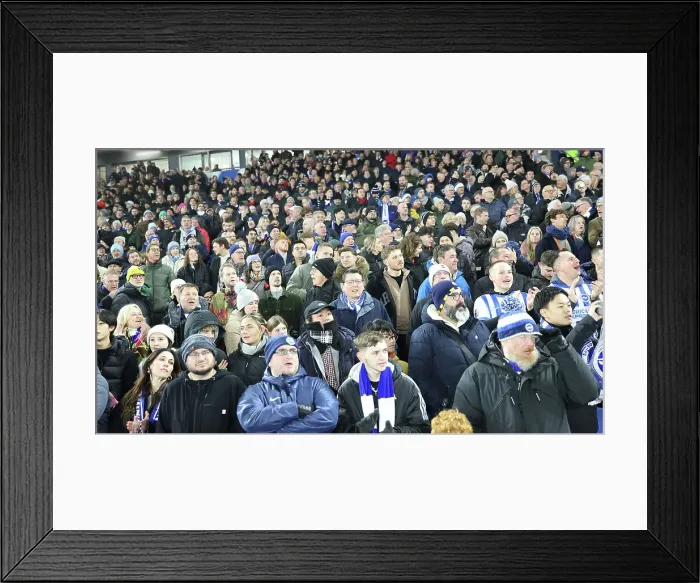 Framed Print : Brighton and Hove Albion v Brentford Premier League 27DEC24