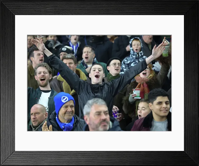 Framed Print : Brighton and Hove Albion v Brentford Premier League 27DEC24