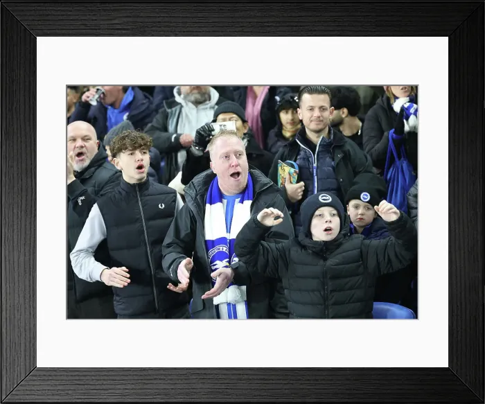Framed Print : Brighton and Hove Albion v Brentford Premier League 27DEC24
