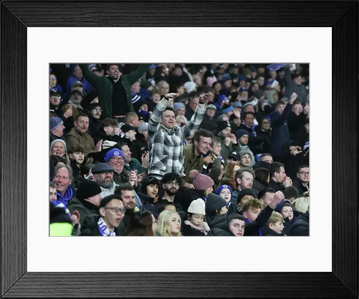 Framed Print : Brighton and Hove Albion v Brentford Premier League 27DEC24